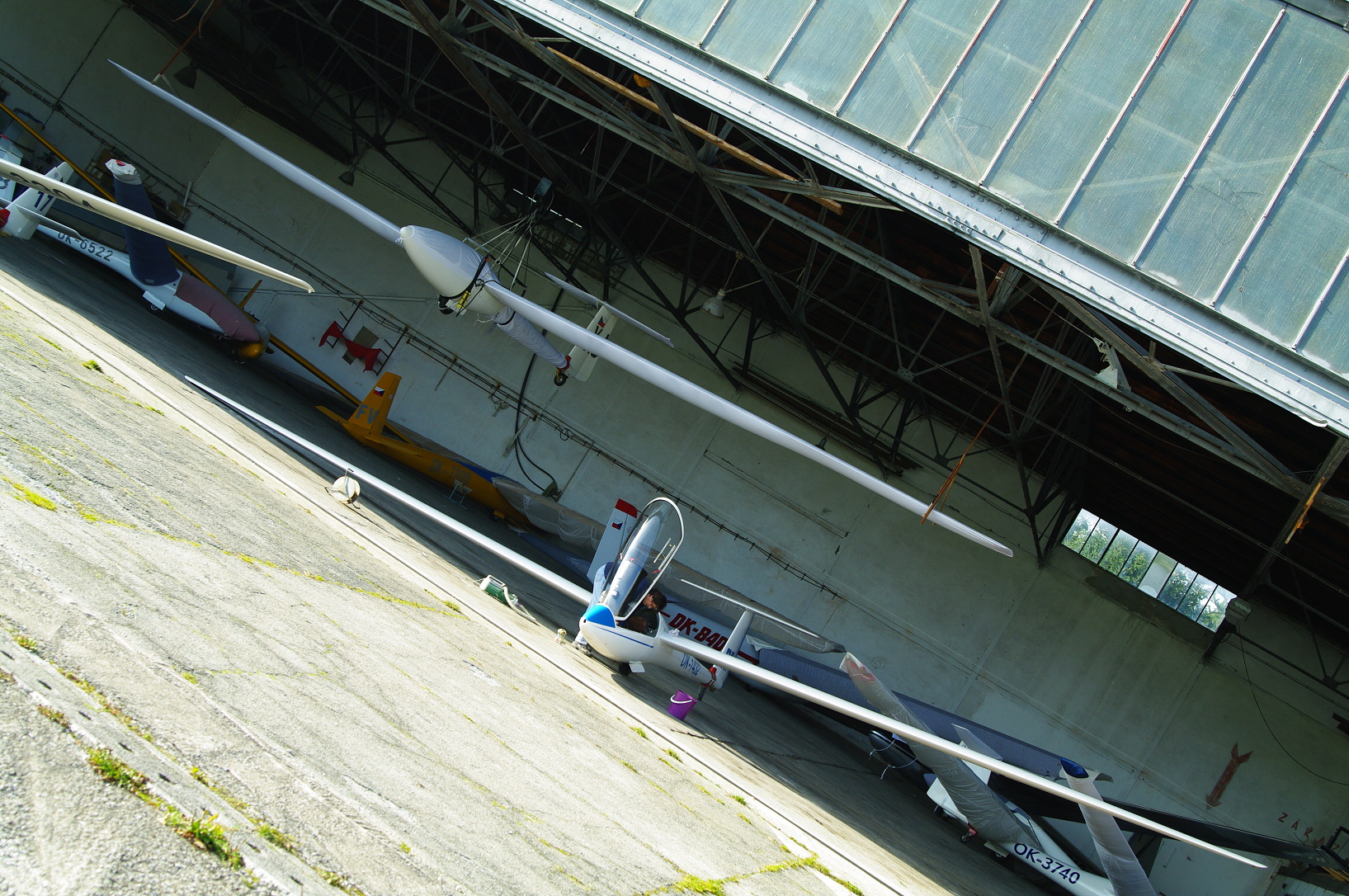 IMGP7349